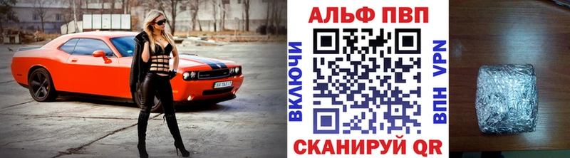 дарнет шоп  shop как зайти  МЕГА зеркало  Alpha-PVP СК  Светогорск 