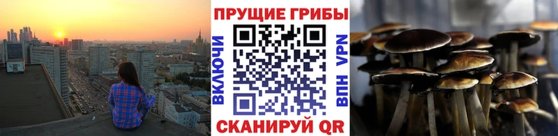 дарнет шоп  Светогорск  Галлюциногенные грибы мухоморы 